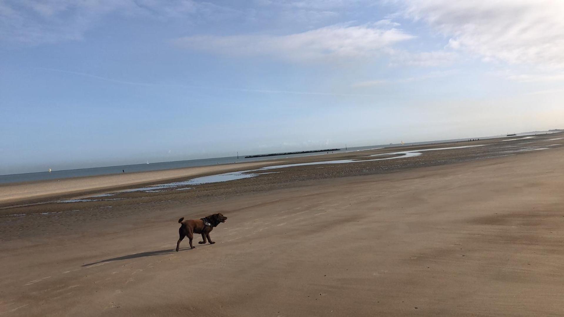Appartement Sur La Plage De Malo Les Bains Vue Mer Dunkirk Bagian luar foto