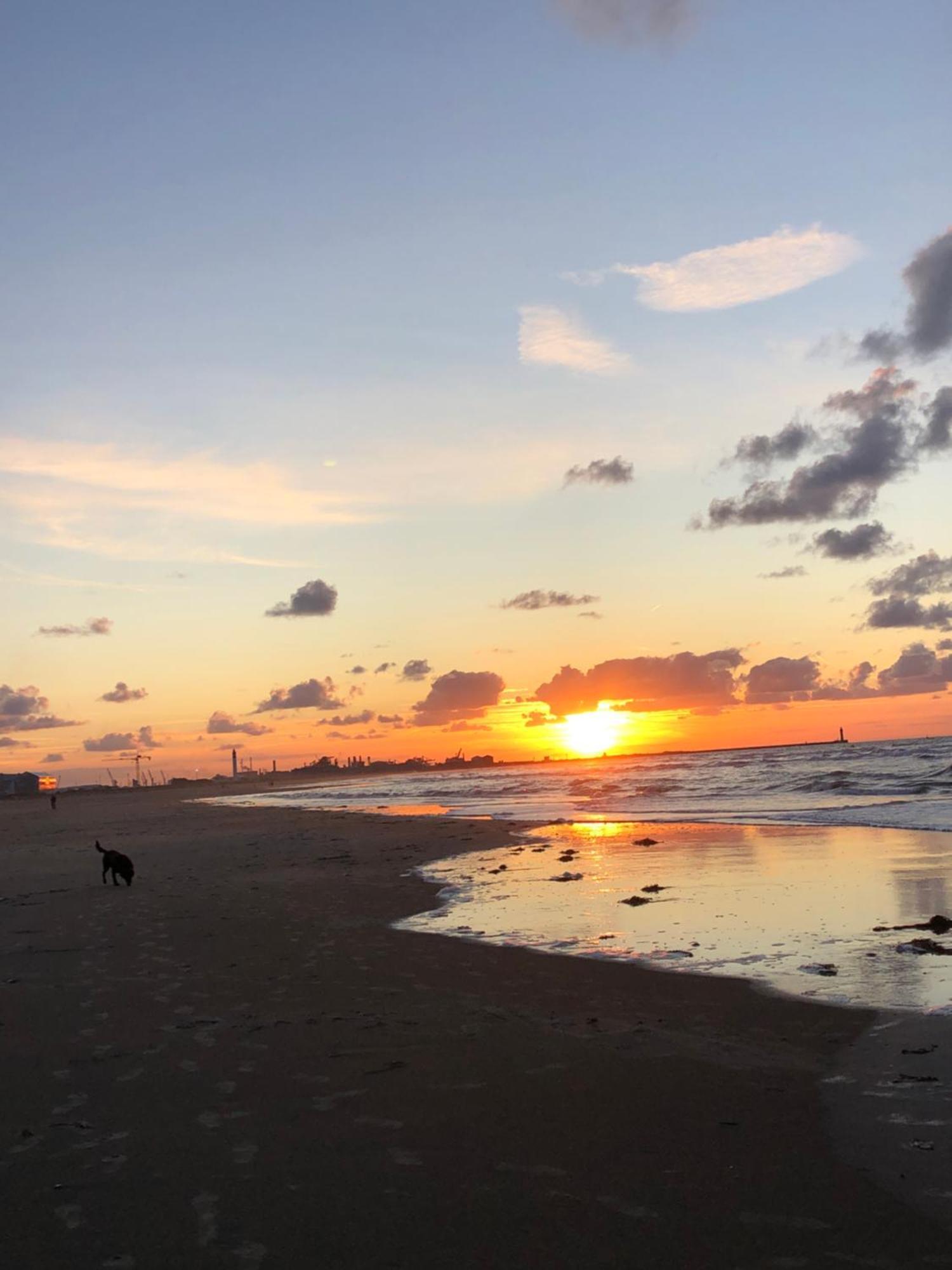 Appartement Sur La Plage De Malo Les Bains Vue Mer Dunkirk Bagian luar foto